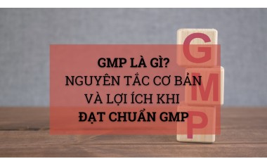 GMP là gì? Nguyên tắc cơ bản và lợi ích khi đạt chuẩn GMP